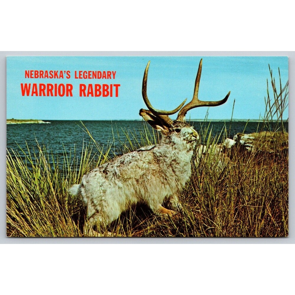 Postcard Nebraska Ogallala Legendary Warrior Rabbit Jackalope Unposted c1970s